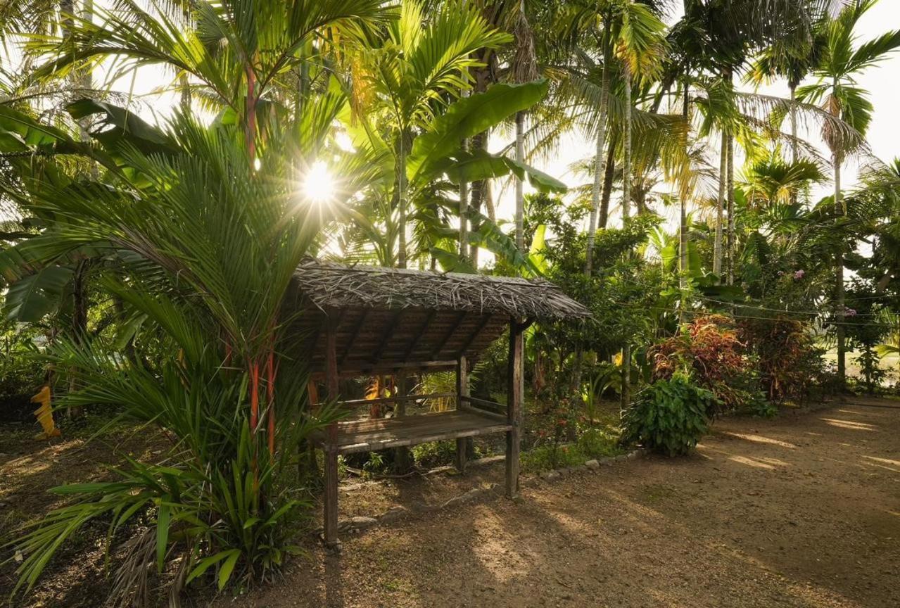 Cocozone Stays Alappuzha Kültér fotó